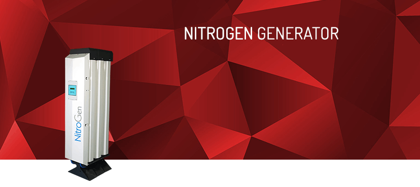 Nitrogen gas generator system